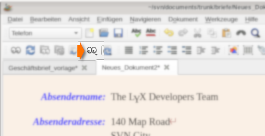 Ansicht des Dokumentes in verschiedenen Formaten/ Darstellungsformen